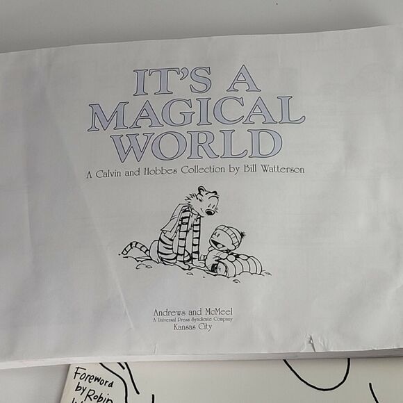 The Far Side and Calvin Hobbes Paperback Comic Collections Set of Two Books - Picture 6 of 8